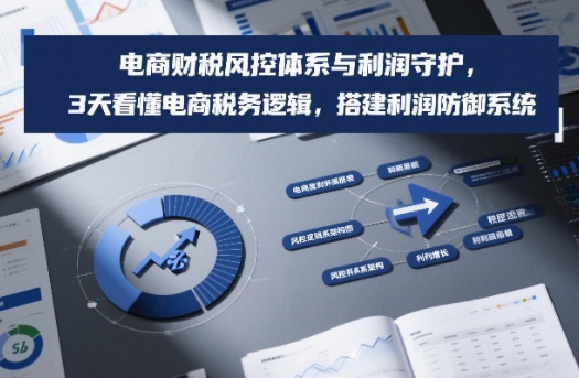 电商财税风控体系与利润守护，3天看懂电商税务逻辑，搭建利润防御系统-副业资源网