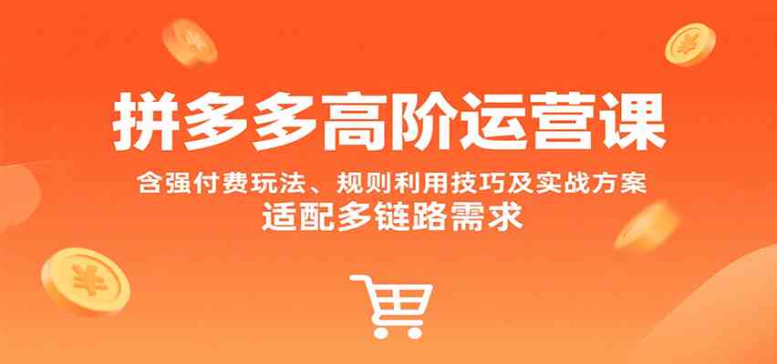 拼多多高阶运营课，含强付费玩法、规则利用技巧及实战方案，适配多链路需求-副业资源网