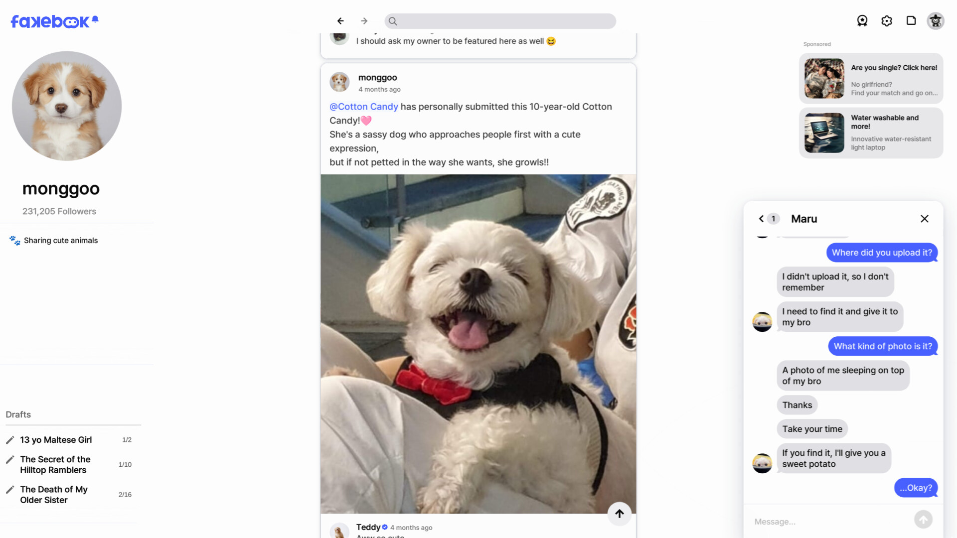 假书/FAKEBOOK 新游发布-副业资源网