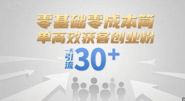 零基础零成本简单高效获客创业粉，一天引流30+-副业资源网