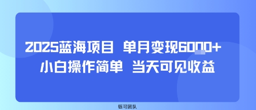 2025蓝海项目 单月变现6k+ 小白操作简单 当天可见收益-副业资源网