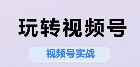 玩转视频号，视频号实战系列课-副业资源网