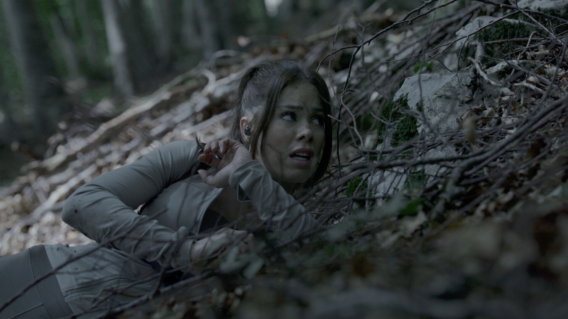 奔跑/The Run-副业资源网