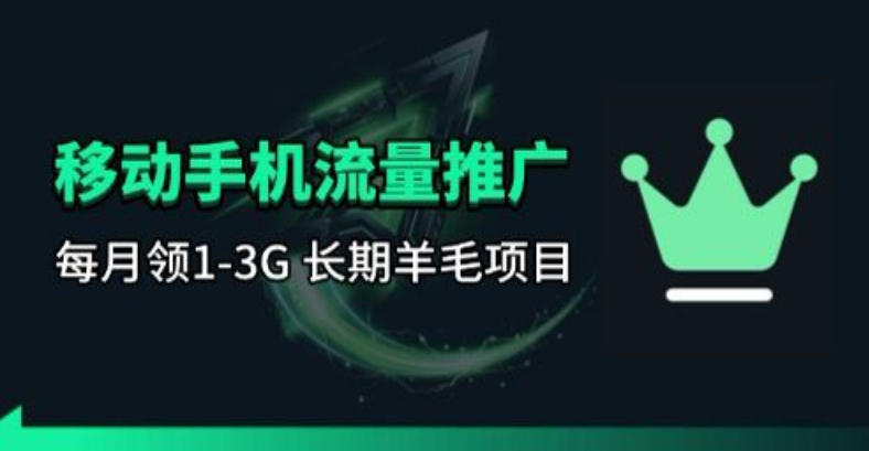 手机流量领取推广_每月一轮，刚需类的长期项目-副业资源网