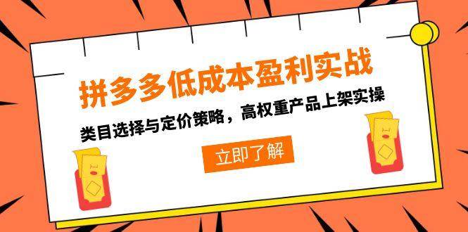 （15143期）拼多多低成本盈利实战，类目选择与定价策略，高权重产品上架实操-副业资源网