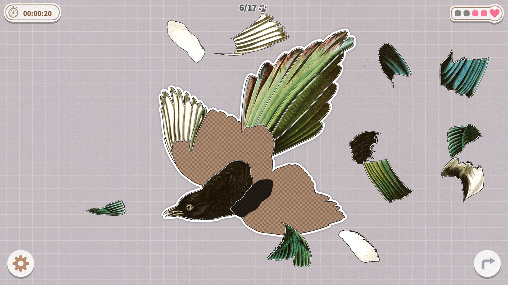 挤在一起的鸟鸟/Birds Huddled Together-副业资源网