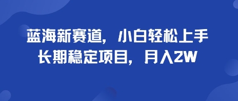 蓝海新赛道，小白轻松上手，长期稳定项目，月入2W-副业资源网