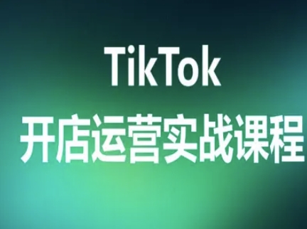 TikTok开店运营实战课程，TK跨境电商实操全流程-副业资源网