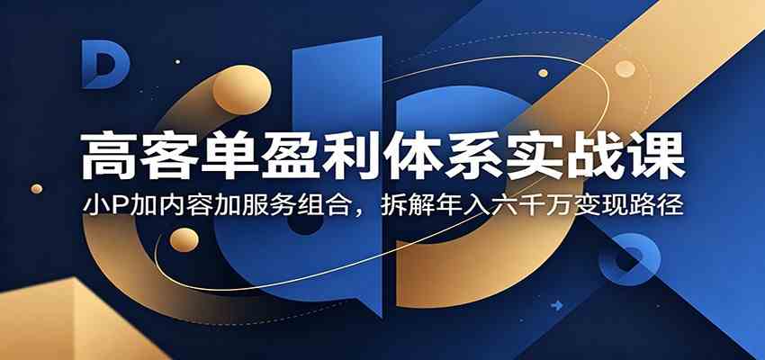 高客单盈利体系实战课：小P加内容加服务组合，拆解年入六千万变现路径-副业资源网