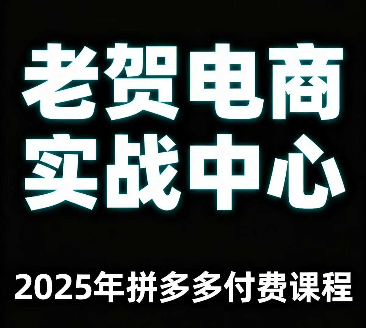 老贺电商2025年拼多多付费课程，用通俗易懂的方法告诉你多多怎么玩-副业资源网