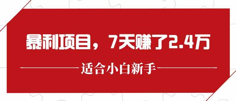 （15228期）最新暴利项目，每单收益轻松在300以上，7天赚了2.4万-副业资源网