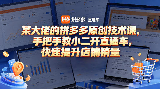 某大佬的拼多多原创技术课，手把手教小二开直通车，快速提升店铺销量-副业资源网