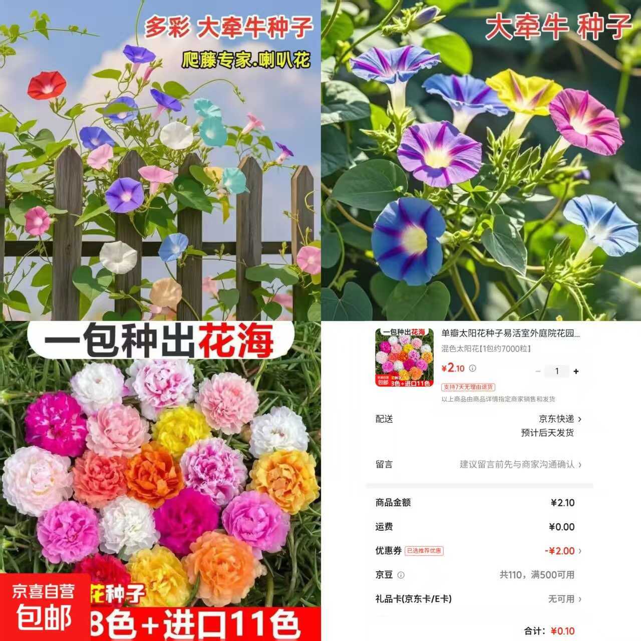 京东0.1太阳花种子约7000粒-副业资源网