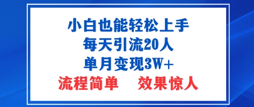 小白也能轻松上手的宝妈项目，每天引流20人，单月变现3W+，流程简单，效果惊人-副业资源网