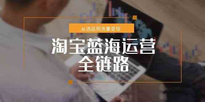 淘宝蓝海运营全链路，从选品到流量变现，小类目突围完整方案-副业资源网