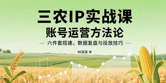 （15864期）三农IP实战课：账号运营方法论，六件套搭建，数据复盘与投放技巧-副业资源网