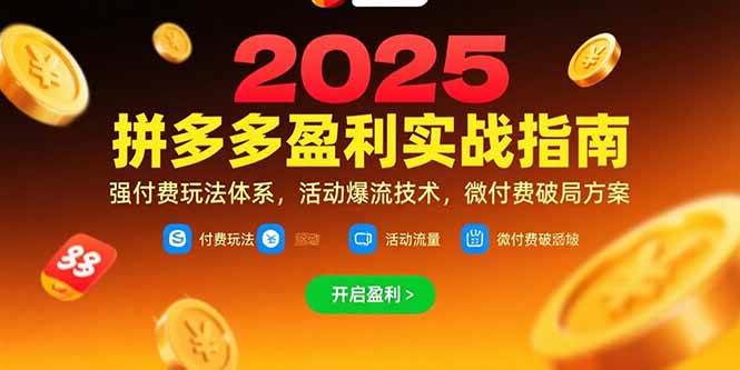 （15357期）拼多多盈利实战指南，强付费玩法，活动爆流技术，微付费破局方案(更新7月)-副业资源网