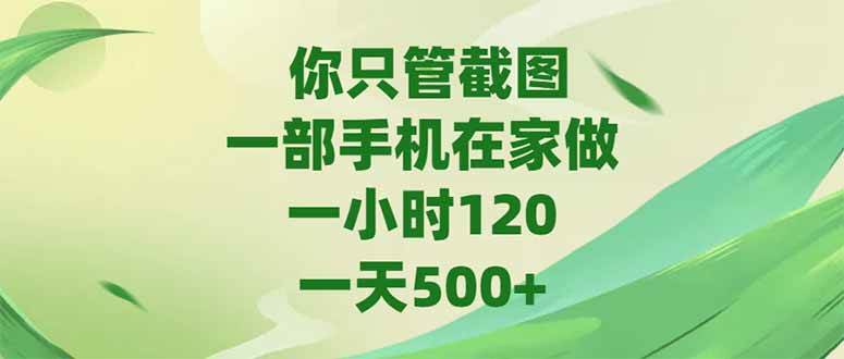 （15039期）你只管截图，一部手机在家做，一小时120，-天500+-副业资源网