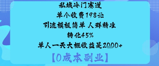 私域冷门赛道:单个收费198米引流模板简单人群精准转化45%单人一天大概收益是1k+-副业资源网