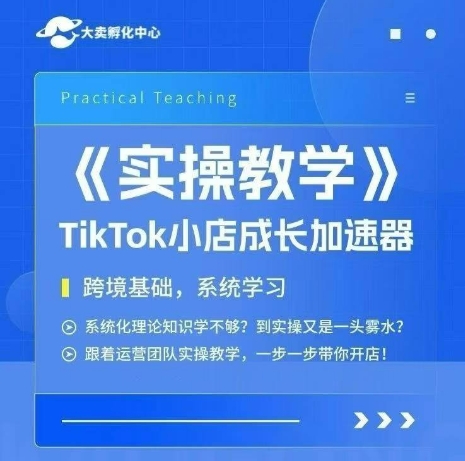 大卖家孵化中心TikTok实操课，TikTok小店成长加速器，跨境基础系统学习，一步一步带你开店-副业资源网