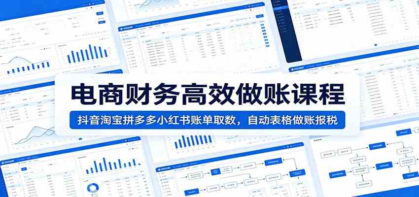 电商财务高效做账课程：抖音淘宝拼多多小红书账单取数，自动表格做账报税-副业资源网