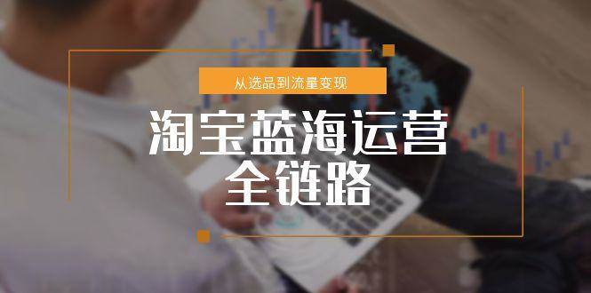 （15160期）淘宝蓝海运营全链路，从选品到流量变现，小类目突围完整方案-副业资源网