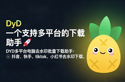 DYD多平台电脑去水印批量下载助手：抖音、快手、tiktok、小红书去水印下载-副业资源网