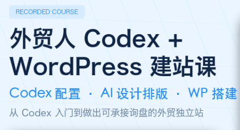 大卫·外贸人Codex + WordPress建站课(更新8月)-副业资源网