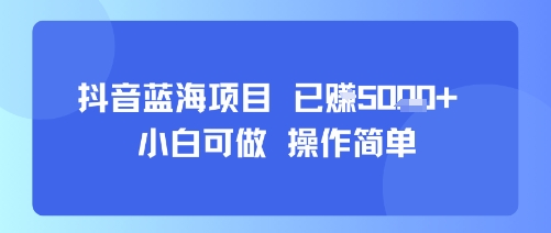 抖音蓝海项目，小白可做，操作简单，可批量制作，已挣5k+-副业资源网
