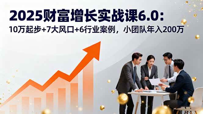（16004期）2025财富增长实战课6.0：10万起步+7大风口+6行业案例，小团队年入200万-副业资源网