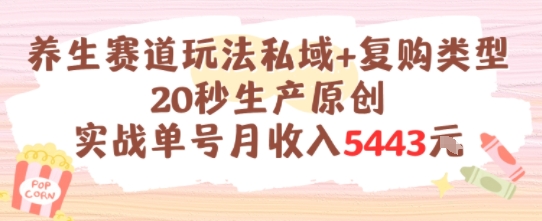 养生赛道玩法私域+复购类型，20秒生产原创实战单号月收入5k+-副业资源网
