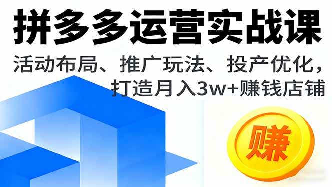 （16135期）拼多多运营实战课，活动布局、推广玩法、投产优化，打造月入3w+赚钱店铺-副业资源网