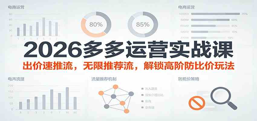 2026多多运营实战课：出价速推流，无限推荐流，解锁高阶防比价玩法（更新）-副业资源网