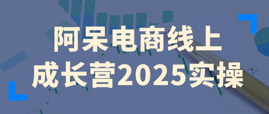 阿呆电商线上成长营2025实操-副业资源网