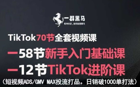 TikTok全套视频课，新手入门+进阶课，短视频ADS-GMV MAX投流打品，日销破1000单打法-副业资源网