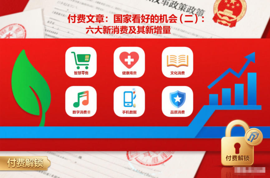 付费文章：国家看好的机会(二)：六大新消费及其新增量 付费文章：国家看好的机会(一):未来最有前景的13个消费赛道-副业资源网