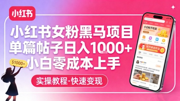 小红书女粉黑马项目，单篇帖子日入1k+，小白零成本上手-副业资源网