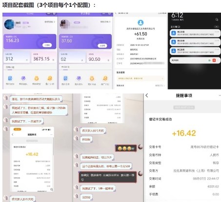 当天能收益的3个小项目拆解_包括平台+操作流程-副业资源网