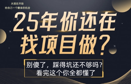 25年，你还在疯狂的找项目吗？别傻了，看完这个你都懂了【揭秘】-副业资源网