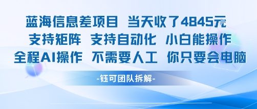 蓝海信息差项目当天收米1k+ 支持矩阵支持自动化小白能操作全程AI操作不需要人工你只要会电脑-副业资源网