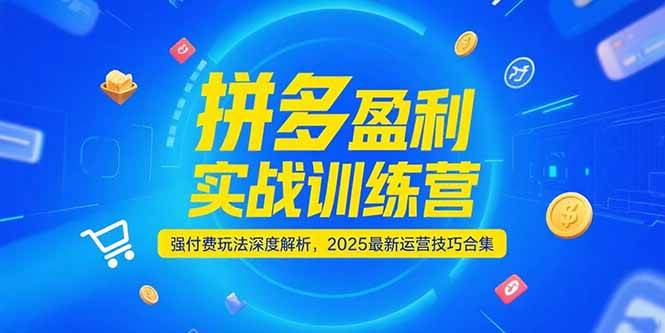 （15183期）拼多多盈利实战训练营，强付费玩法深度解析，2025最新运营技巧合集-副业资源网
