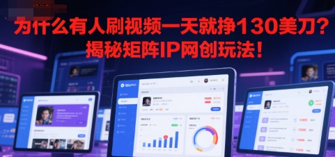 为什么有人刷视频一天就挣130美刀？揭秘矩阵IP网创玩法!-副业资源网