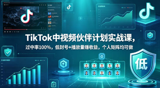 TikTok中视频伙伴计划实战课,过中率100%,低封号+播放量賺收益,个人矩阵均可做-副业资源网