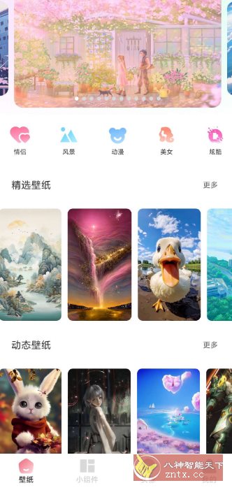 91熊猫桌面主题v1.0.5高级版-副业资源网