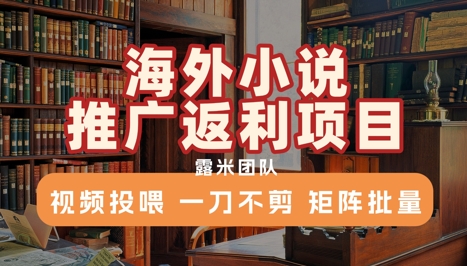 海外小说推广返利项目，视频投喂， 一刀不剪，矩阵批量-副业资源网