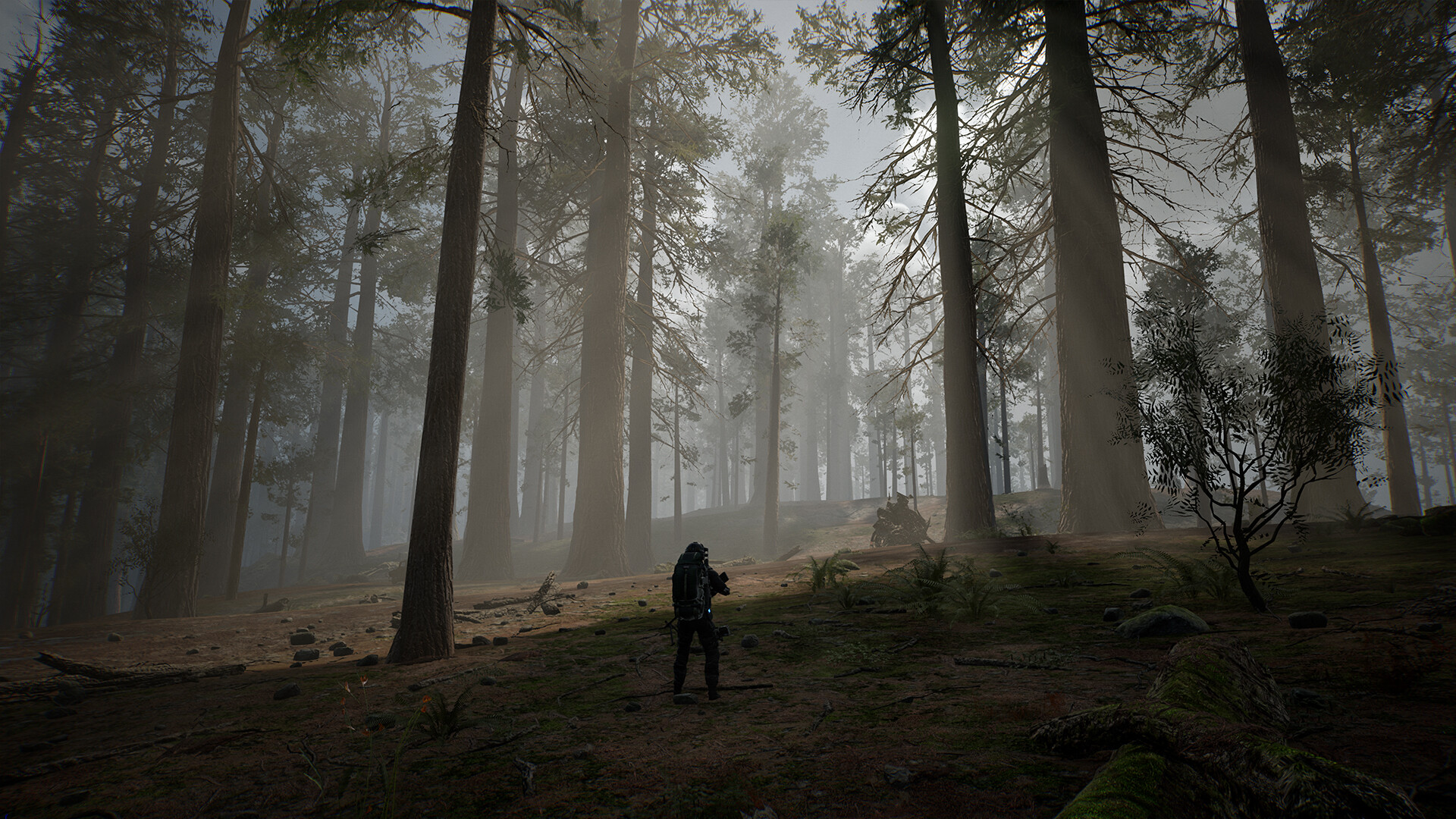 生命效应/LIFE EFFECT 生命效应/LIFE EFFECT