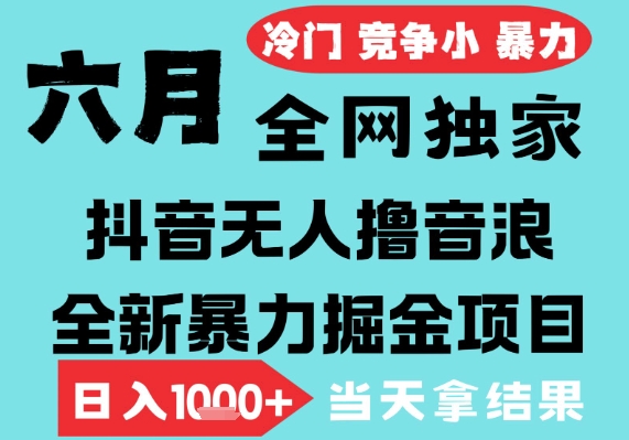 2025年6月高爆抖音无人直播最新撸音浪掘金项目，无脑日入1k+，低门槛小白可做，可矩阵放大【揭秘】-副业资源网