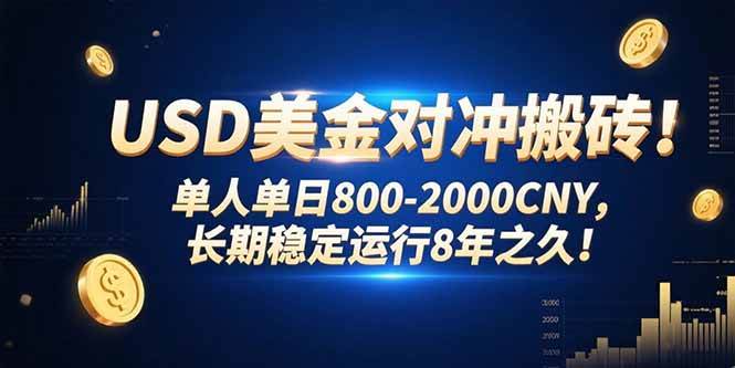 （15551期）USD美金对冲搬砖!单人单日800-2000CNY，长期稳定运行8年之久!-副业资源网