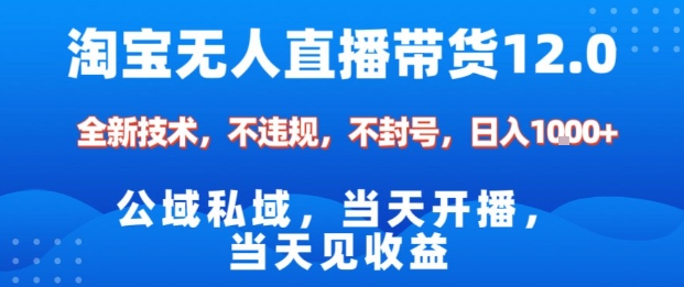 淘宝无人直播12.0,公域私域技术,不封号,不违规布局双十一流量风口,日入1k(独家技术)【揭秘】-副业资源网