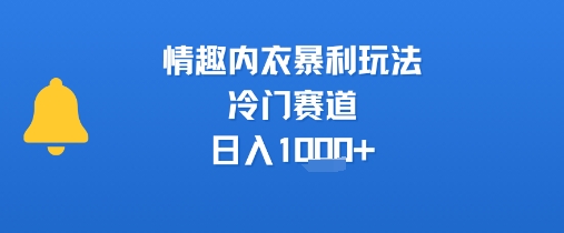 情趣内衣暴利玩法，冷门赛道，日入1k+-副业资源网